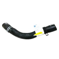 New Holden Commodore Statesman VE WM S1 Top Upper Radiator Hose V6 LY7 92157811