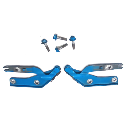 Used VZ Turismo Mica Bonnet Hinges Pair 